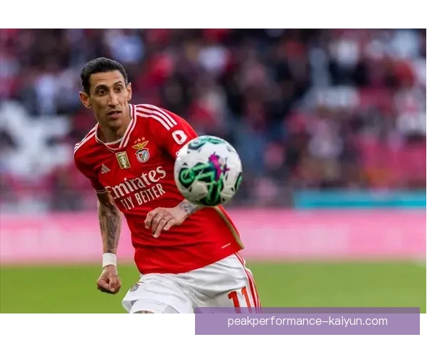 迪马利亚职业轨迹持续稳定，最近状态回暖引发多方关注。